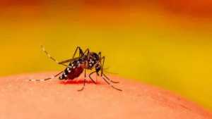 Tamil Nadu declares red alert in three districts amid rising dengue cases