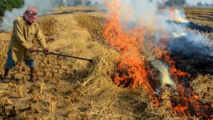 2025 Punjab-Haryana Floods Cut Stubble Burning by 77%, Delhi PM2.5 Drops 15.5%