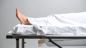 Two bodies found in pool of blood in Jaisalmer