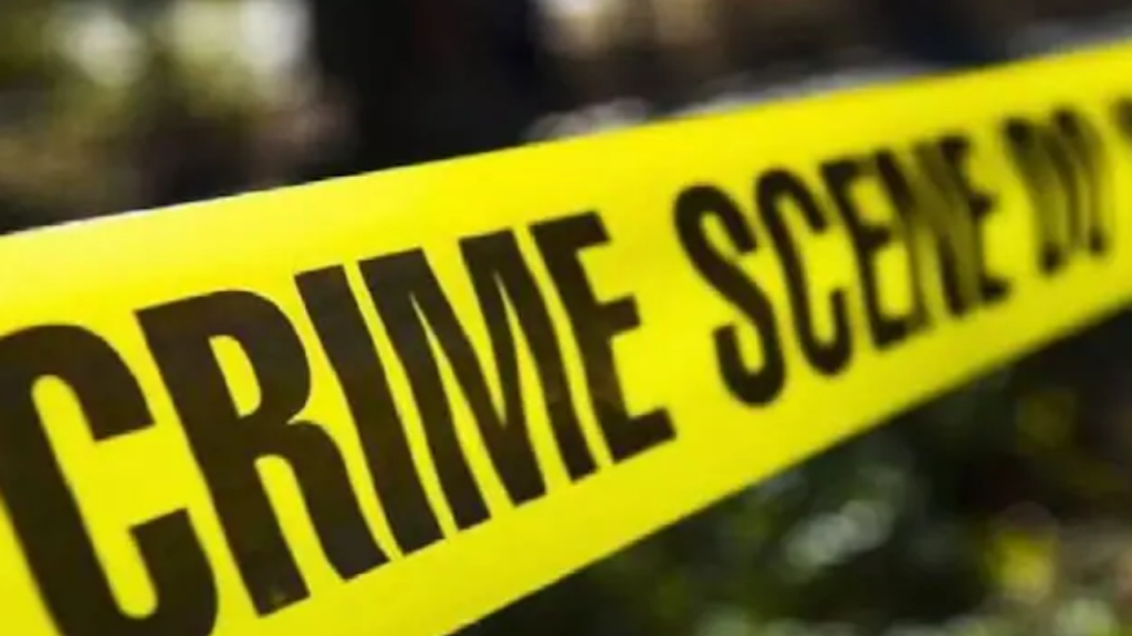 Ludhiana: Son-in-Law Kills Mother-in-Law, CCTV Footage Surfaces