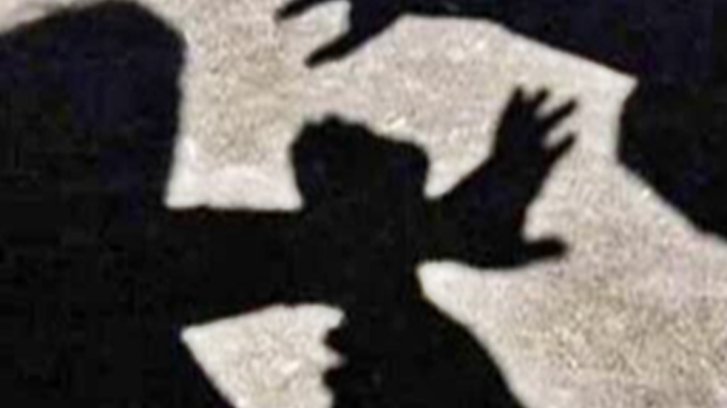 Jalandhar Travel Agent Assault Case: Pregnant Woman, Husband Beaten by Bouncers Over ₹3.42 Lakh Visa Refund