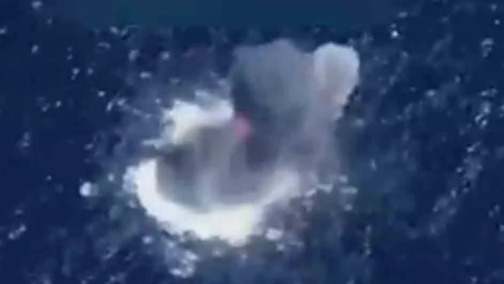 14 killed in US strikes targeting narco-traffickers