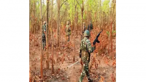 21 Maoists to Surrender in Chhattisgarh, Marking Major Success in Anti-Naxal Drive