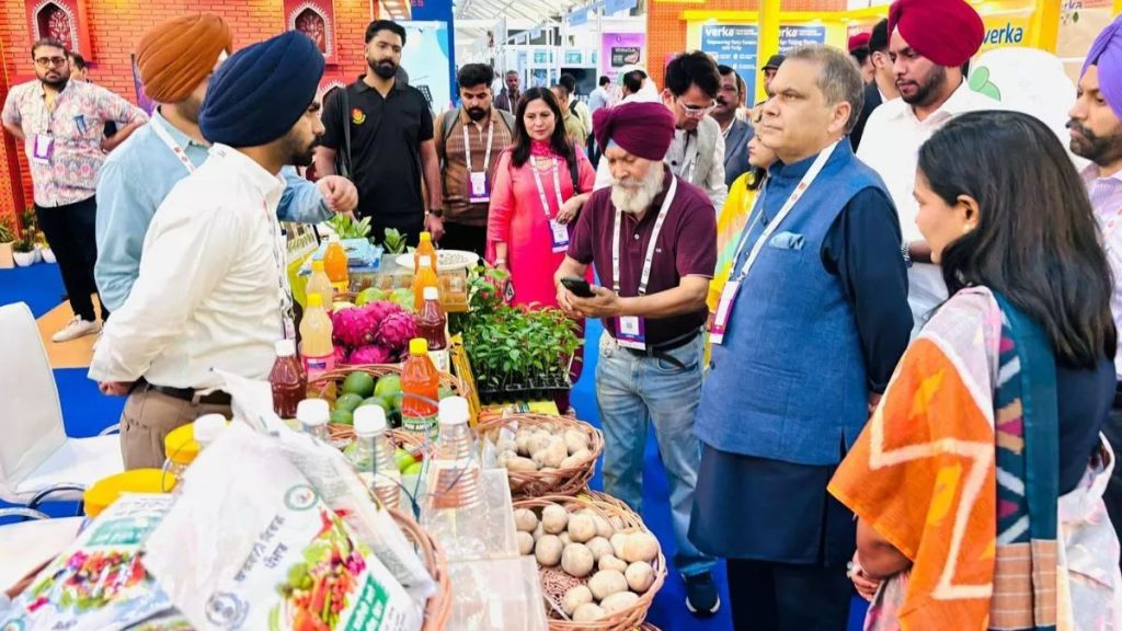 Mann Government's Remarkable Change: Food Processing Boosts Farmers' Income and Creates New Employment Opportunities in Punjab