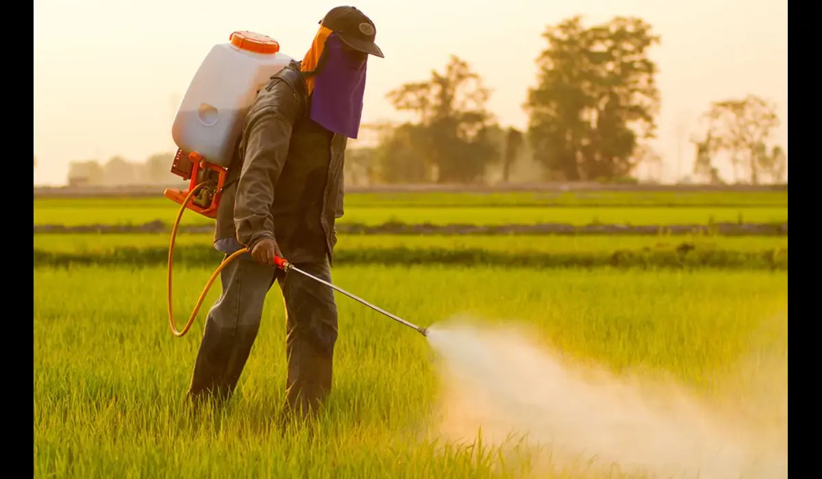 How to prevent pest attacks? Trick them by plant scents
