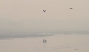 Delhi continues to choke on toxic air as AQI remains in ‘severe’ zone
