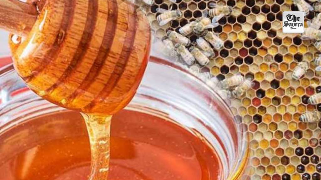 India Becomes World’s Second-Largest Honey Exporter; Ships 1.07 Lakh MT in FY 2023–24