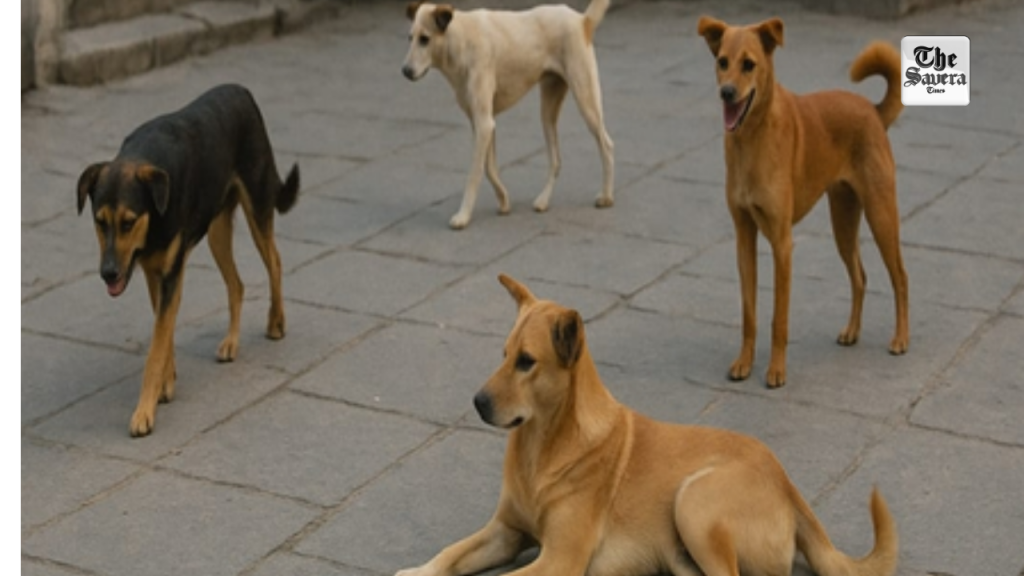 SC to hear stray dogs matter tomorrow; Chief Secys of states, UTs to appear physically