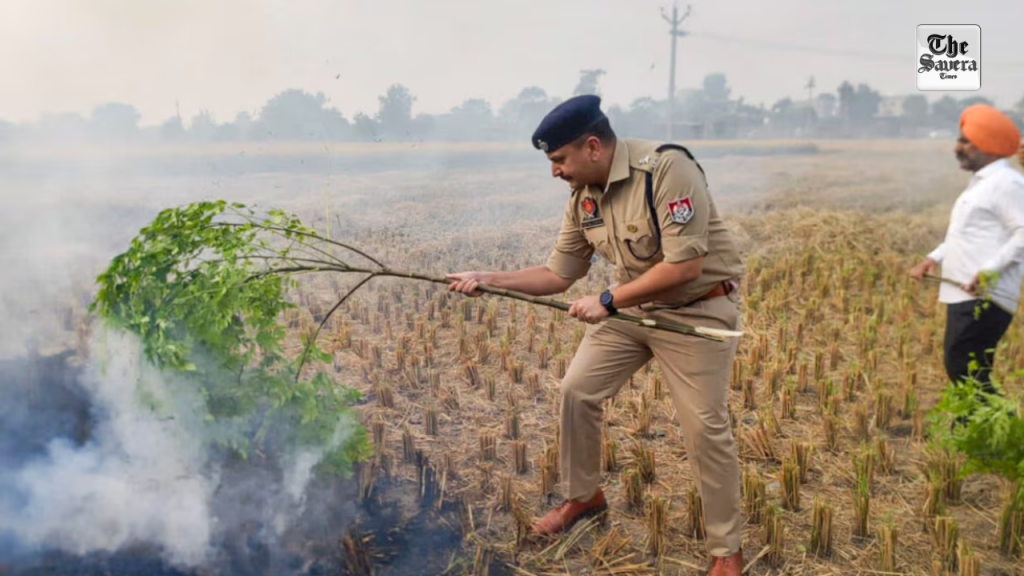 Delhi Air Pollution: SC Seeks Reports from Punjab, Haryana on Stubble Burning
