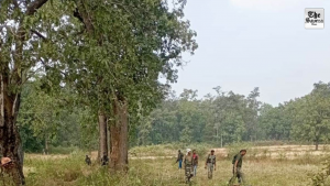 Seven more Maoists killed in exchange of fire in Maredumilli forests of Andhra Pradesh