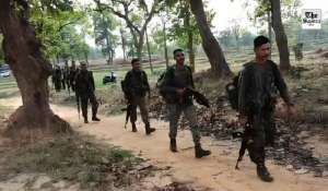 Chhattisgarh: 28 Maoists with collective reward of Rs 89 lakh surrender