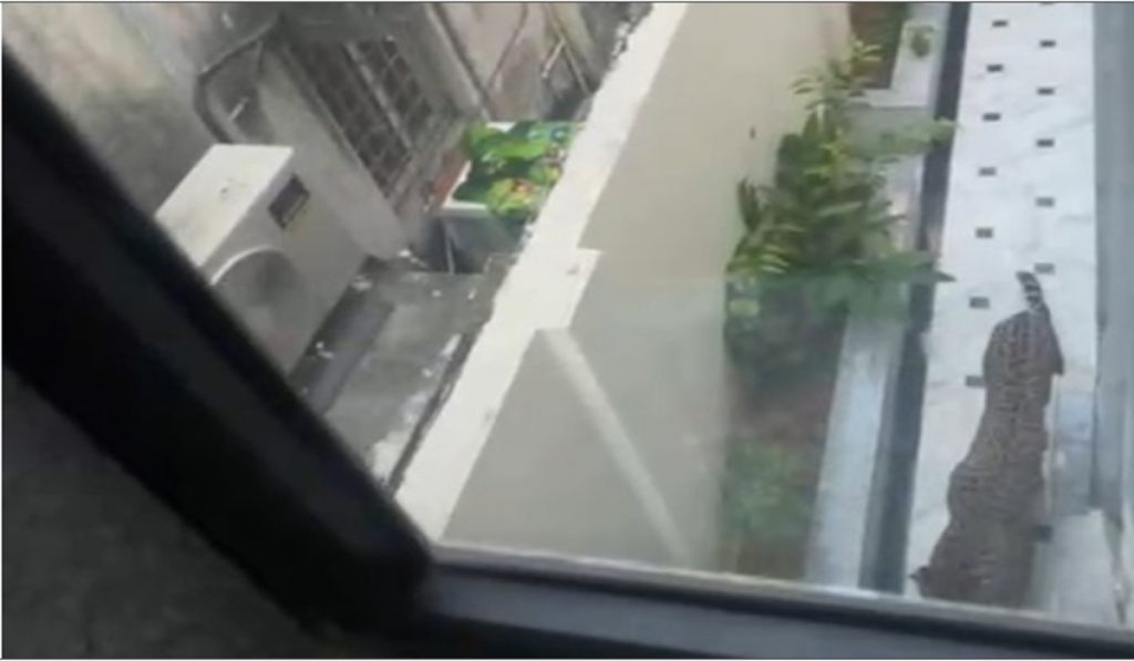 Leopard Enters Minister’s Bungalow in Jaipur