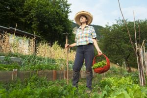 Women-centered farm tools reform