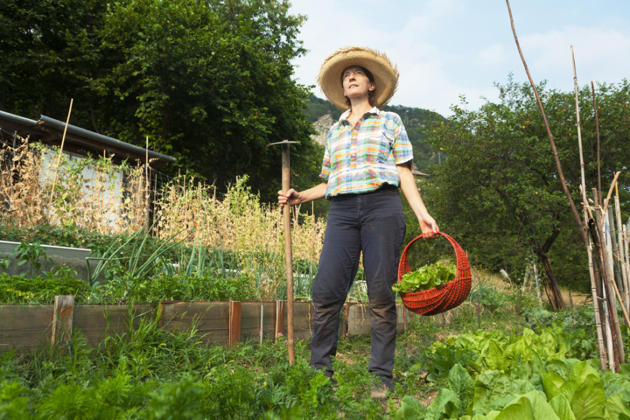 Women-centered farm tools reform