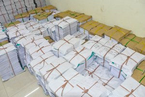 SIR Phase II: ECI Completes 100% EF Distribution in 7 States