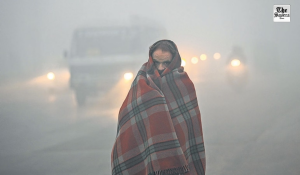 Severe Cold Wave Grips Bihar, IMD Issues Red and Yellow Alerts