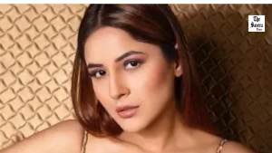 Shehnaaz Gill Embraces Solitude and Self-Discovery