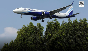 IndiGo is back on its feet, says CEO Pieter Elbers