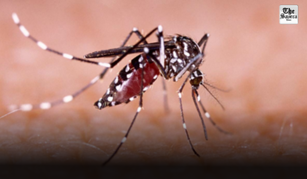 Dengue cases in Manipur mount to 5,502 despite declining outbreak intensity