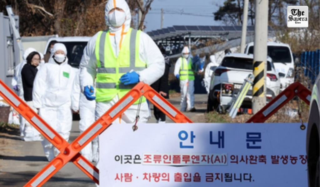 South Korea reports its eighth case of highly contagious bird flu this season