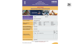 Over 7.28 crore MSMEs registered on Udyam Portal: Minister