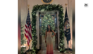 Mallika Sherawat calls her White House Christmas dinner invitation “completely surreal – Grateful”