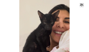 Jacqueline Fernandez rescues stray kittens, says, “I wish we could all give stray animals love and support”