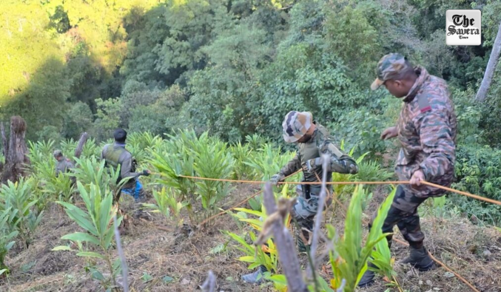 Indian Army Launches Massive Search After Truck with 22 Workers Falls into Gorge in Arunachal