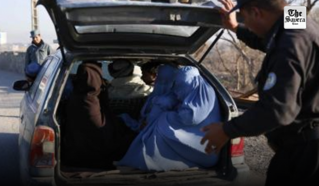 Afghan Counter-Narcotics Police Arrest 31 Smugglers, Seize Over 250 kg of Illicit Drugs