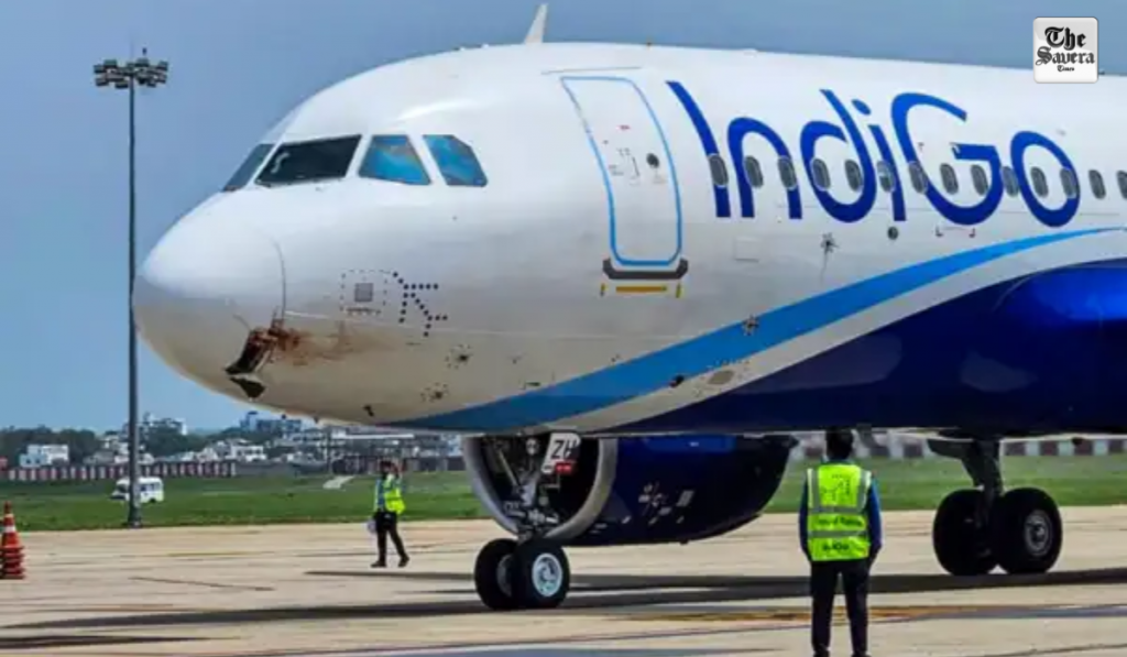 IndiGo