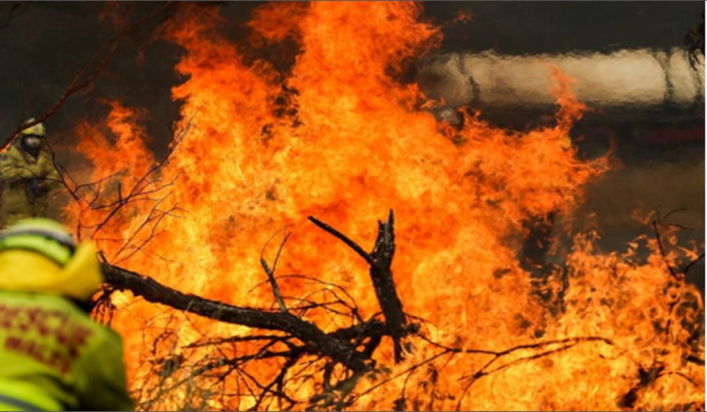 Over 30 homes destroyed by bushfire in Australia's Tasmania