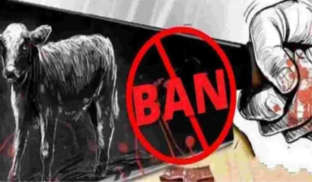 Ludhiana Cow Slaughter: 11 Heads, Large Quantity of Meat Recovered