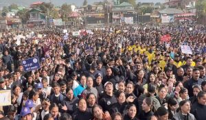 Himachal: Mega walkathon against Chitta in Dharamshala, hundreds participated