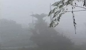 Severe Cold Wave in Uttarakhand: Temperatures Dip to -21°C, Fog Alert Issued Till January 12