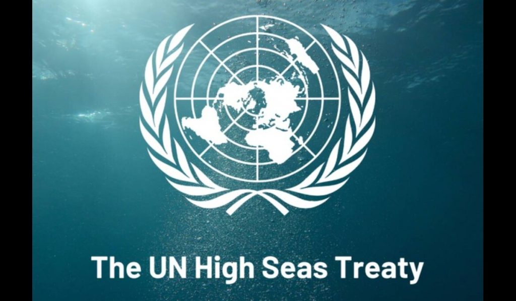 High Seas Treaty Set for 2026 Entry