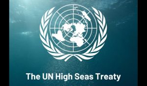 High Seas Treaty