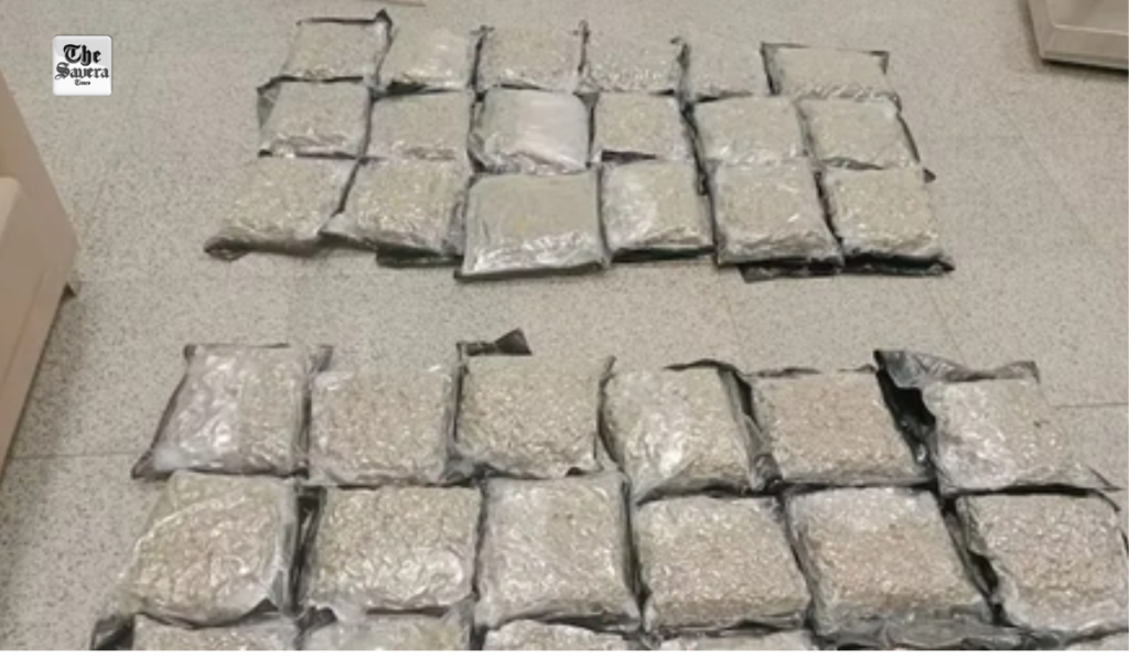 Hydroponic marijuana worth ₹14 crore seized at Rajiv Gandhi International Airport