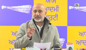 Gangsters Will Not Be Spared: Baltej Pannu Warns Criminals, Defends Punjab Police