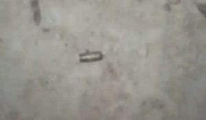 Shots Fired at Faridabad Youth’s Residence in Ongoing DJ Dispute