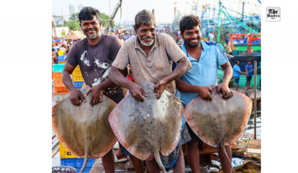 India to host envoys of 83 countries at roundtable on seafood exports
