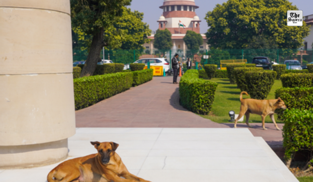 3-judge SC Bench reserves decision on issue of strays across country