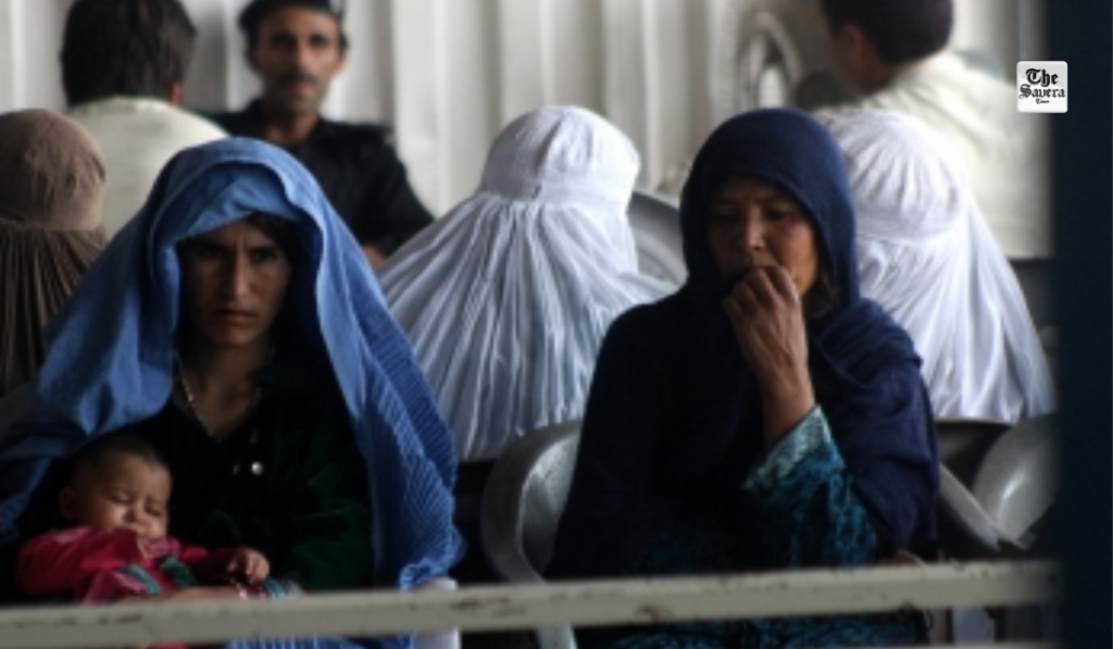 Afghanistan sees 2.8 million refugees return homeland in 2025: Official