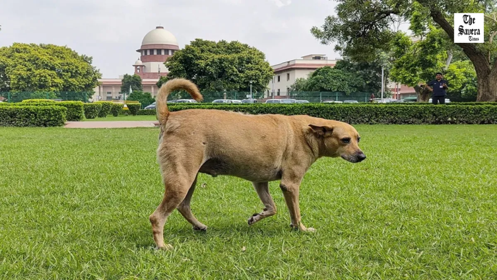 Kapil Sibal “They Never Bite Me” Remark Draws SC Response