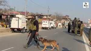 Suspected IED Found on Baramulla Highway, Search Underway