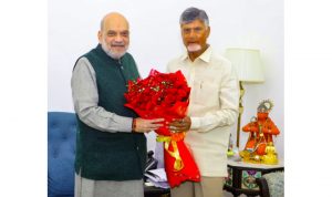 Chandrababu Naidu meets Amit Shah, seeks statutory status to Amaravati