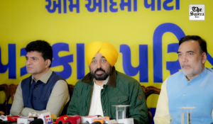 Bhagwant Mann showcases ‘Punjab achievements’ in Gujarat