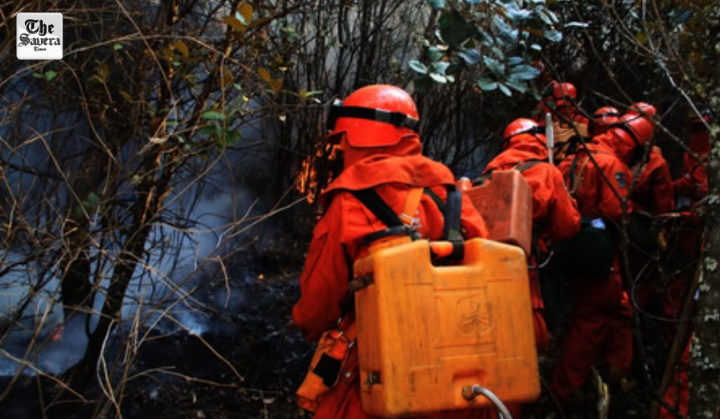 Wildfire Rages for Two Days in Southwest China’s Yunnan Province