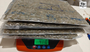 Hybrid Marijuana Worth Rs 12.5 Crore Seized at Ahmedabad Airport; Four Arrested