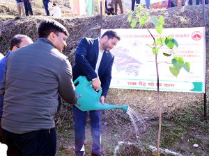 Vaishno Devi Shrine Board begins second phase of seed dispersal in Trikuta Hills