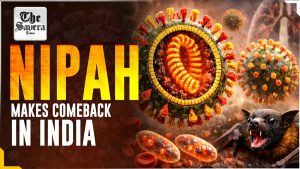 What Is Nipah? A High-Risk Virus Making A Comeback In India